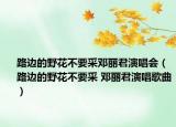 路边的野花不要采邓丽君演唱会（路边的野花不要采 邓丽君演唱歌曲）