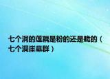 七个洞的莲藕是粉的还是脆的（七个洞崖墓群）