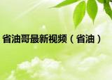 省油哥最新视频（省油）