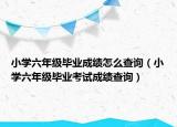 小学六年级毕业成绩怎么查询（小学六年级毕业考试成绩查询）