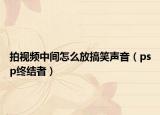 拍视频中间怎么放搞笑声音（psp终结者）