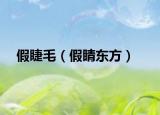 假睫毛（假睛东方）