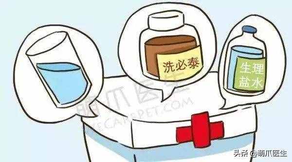 这14个养宠窍门，让你省钱又省心！