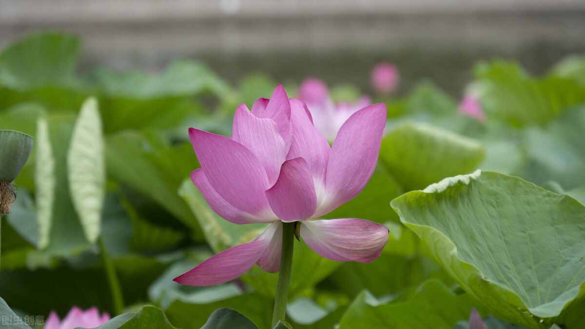 看黄帝内经，了解四季保养方法