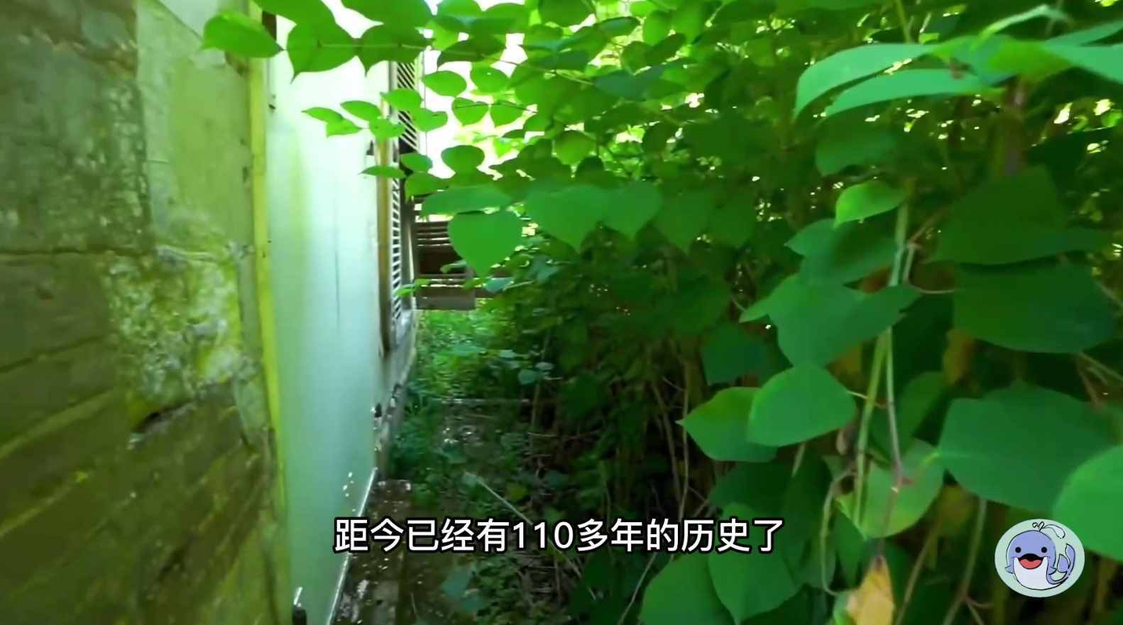 美国森林废弃38年的城堡，一位中国女性来到这里，孤独的生活