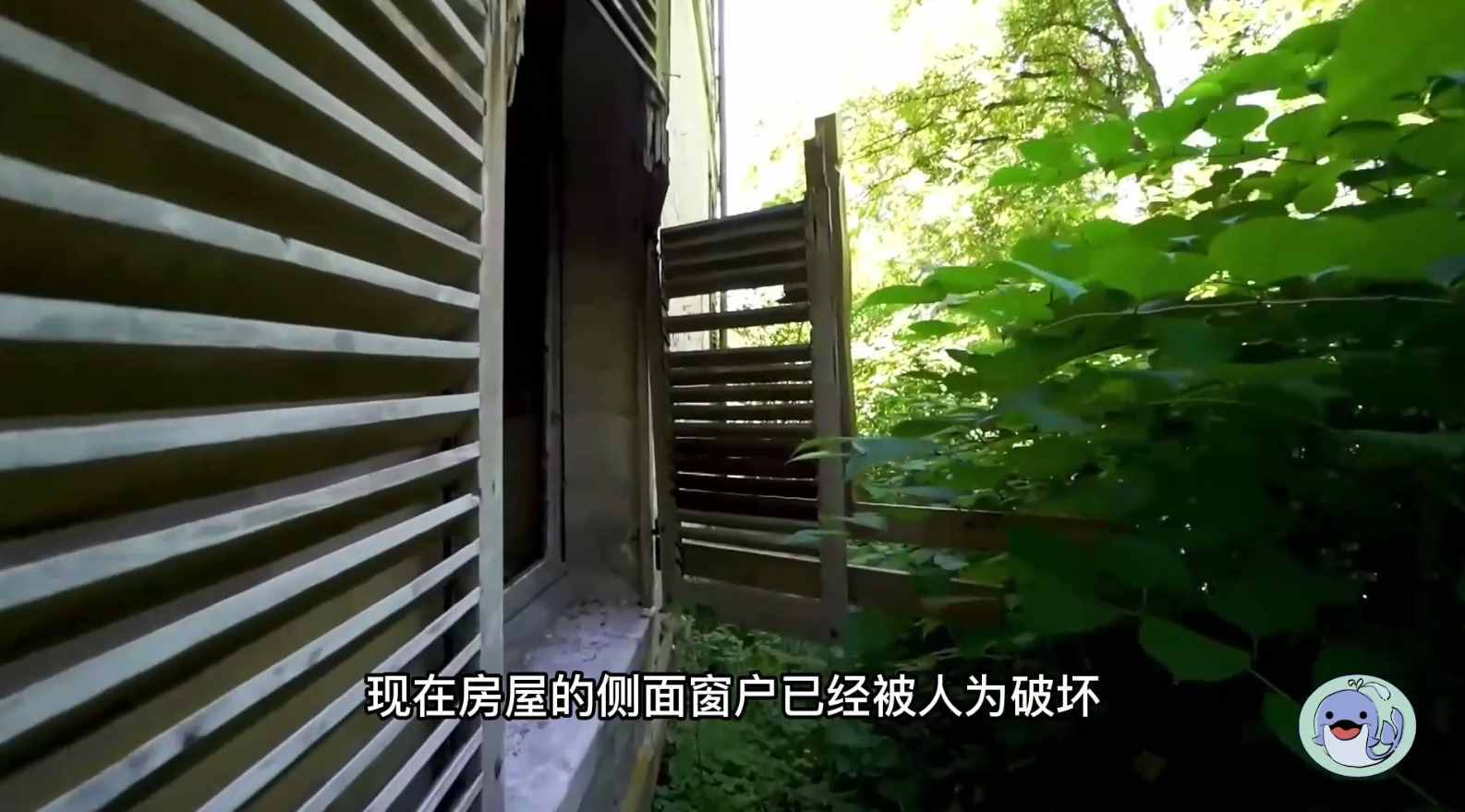 美国森林废弃38年的城堡，一位中国女性来到这里，孤独的生活