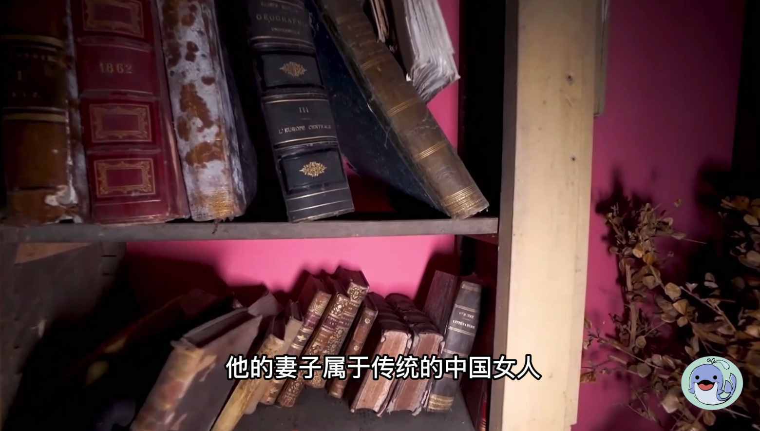 美国森林废弃38年的城堡，一位中国女性来到这里，孤独的生活