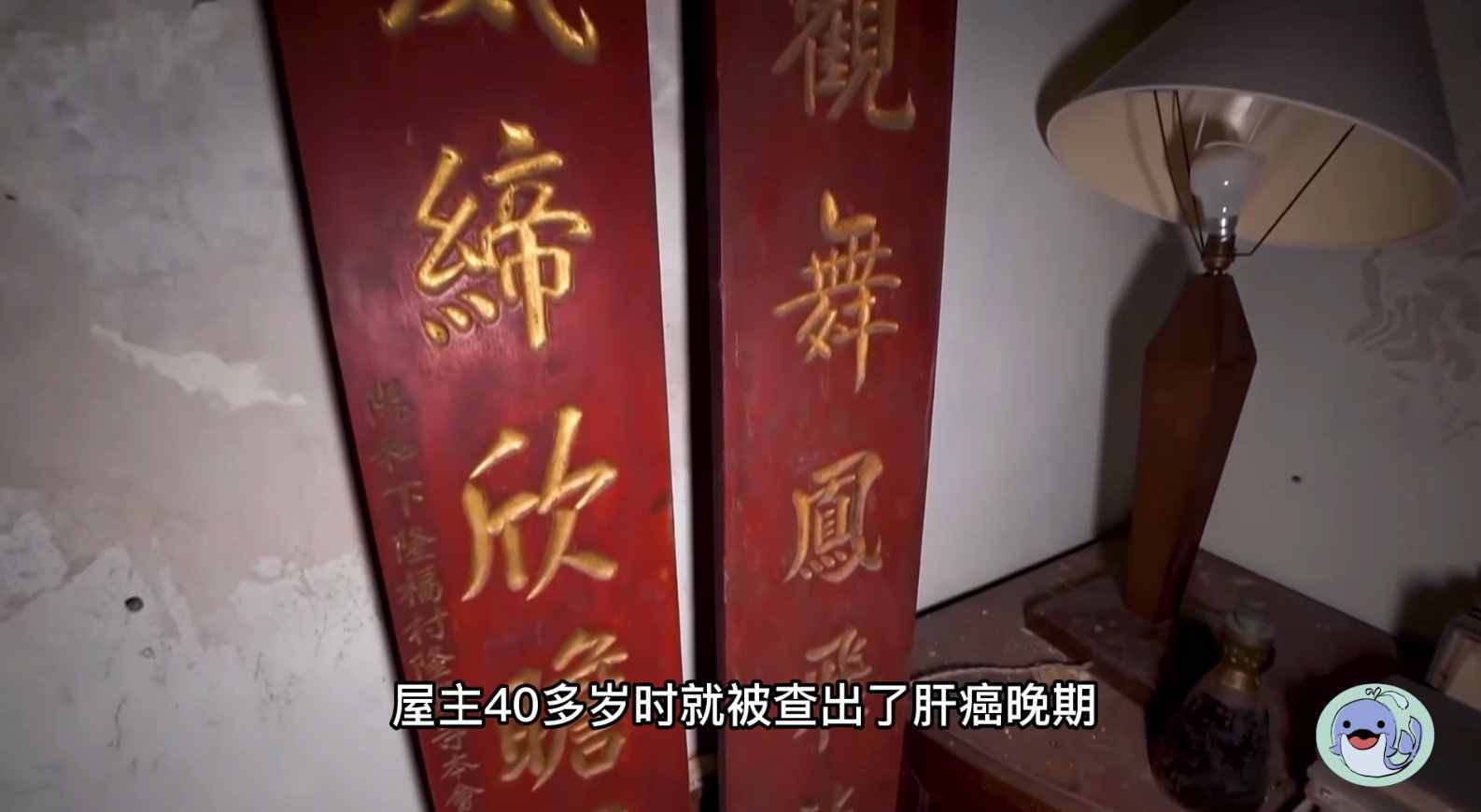 美国森林废弃38年的城堡，一位中国女性来到这里，孤独的生活