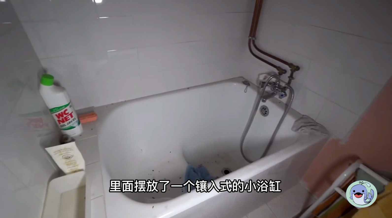 美国森林废弃38年的城堡，一位中国女性来到这里，孤独的生活