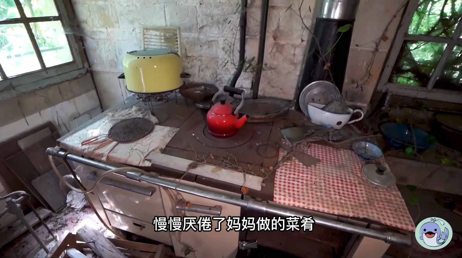美国森林废弃38年的城堡，一位中国女性来到这里，孤独的生活