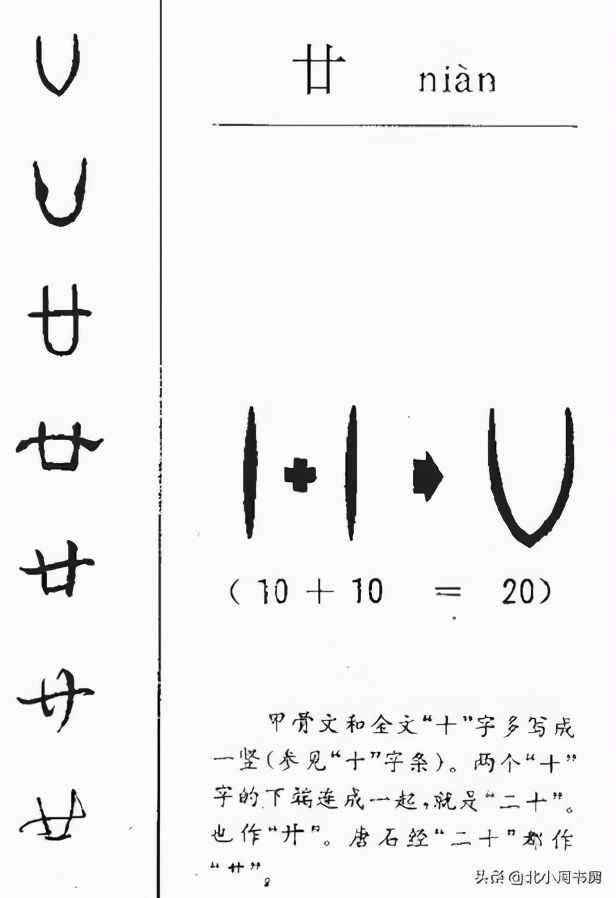 二十为什么是廿？