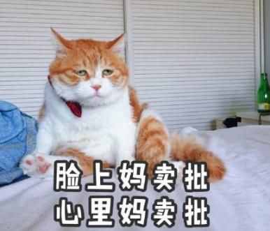 脸上笑嘻嘻心里mmp什么意思