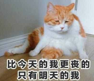 脸上笑嘻嘻心里mmp什么意思