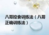 八哥控食训练法（八哥正确训练法）