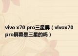 vivo x70 pro三星屏（vivox70pro屏幕是三星的吗）
