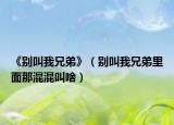 《别叫我兄弟》（别叫我兄弟里面那混混叫啥）