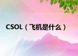 CSOL（飞机是什么）
