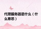 代理服务器是什么（什么意思）