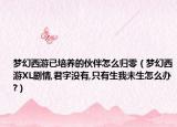 梦幻西游已培养的伙伴怎么归零（梦幻西游XL剧情,君字没有,只有生我未生怎么办?）