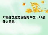 1t是什么意思的缩写中文（1T是什么意思）