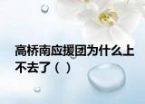 高桥南应援团为什么上不去了（）
