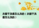 衣服干洗是怎么洗的（衣服干洗是怎么洗的）
