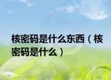 核密码是什么东西（核密码是什么）