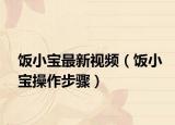 饭小宝最新视频（饭小宝操作步骤）