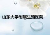 山东大学附属生殖医院