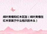阔叶黄檀和红木区别（阔叶黄檀在红木里属于什么档次的木头）