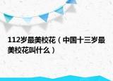 112岁最美校花（中国十三岁最美校花叫什么）