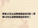 苹果12怎么设置微信面容付款（苹果12怎么设置微信面容支付）