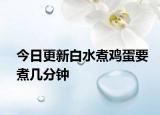 今日更新白水煮鸡蛋要煮几分钟