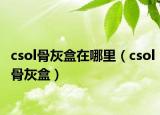 csol骨灰盒在哪里（csol骨灰盒）