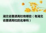 湖北省普通高校有哪些（有湖北省普通高校的名单吗）