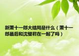 新萧十一郎大结局是什么（萧十一郎最后和沈璧君在一起了吗）