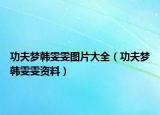 功夫梦韩雯雯图片大全（功夫梦韩雯雯资料）