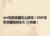 dnf灵跃武器怎么获得（DNF灵跃武器如何永久 11攻略）