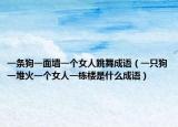 一条狗一面墙一个女人跳舞成语（一只狗一堆火一个女人一栋楼是什么成语）
