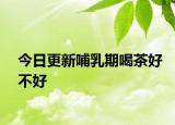 今日更新哺乳期喝茶好不好
