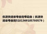 优速快递单号查询号码查（优速快递单号查询5181369105780579）