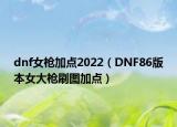 dnf女枪加点2022（DNF86版本女大枪刷图加点）