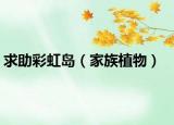 求助彩虹岛（家族植物）
