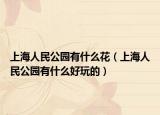 上海人民公园有什么花（上海人民公园有什么好玩的）