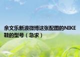 余文乐新浪微博这张配图的NIKE鞋的型号（急求）