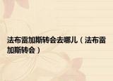 法布雷加斯转会去哪儿（法布雷加斯转会）