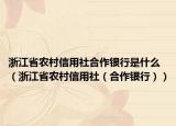 浙江省农村信用社合作银行是什么（浙江省农村信用社（合作银行））