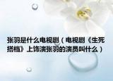 张羽是什么电视剧（电视剧《生死搭档》上饰演张羽的演员叫什么）