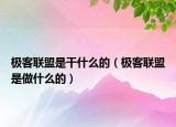 极客联盟是干什么的（极客联盟是做什么的）
