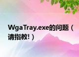 WgaTray.exe的问题（请指教!）